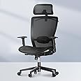 FLEXISPOT Ergonomic Office Chair High Back Mesh Swivel Computer Chair Home Office Desk Chairs with Wheels Lumbar Support Deep