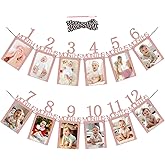 Kids First Birthday Party Banner,1st Birthday Baby Photo Banner from Newborn to 12 Month,4×6 Inch Photo Cards,Boy or Girl Monthly Milestones Garland for Baby Shower Decorations(Pink)