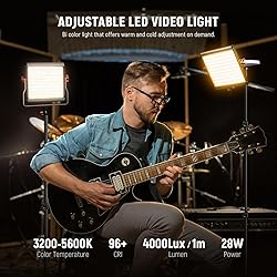 Neewer 2 Packs Dimmable Bi Color 480 LED Video
