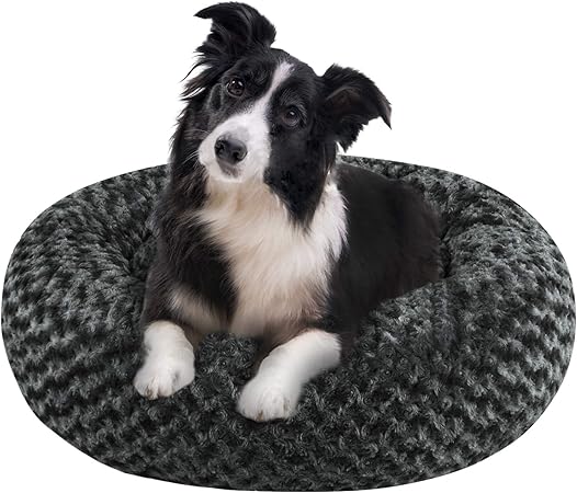 b and m dog lounger