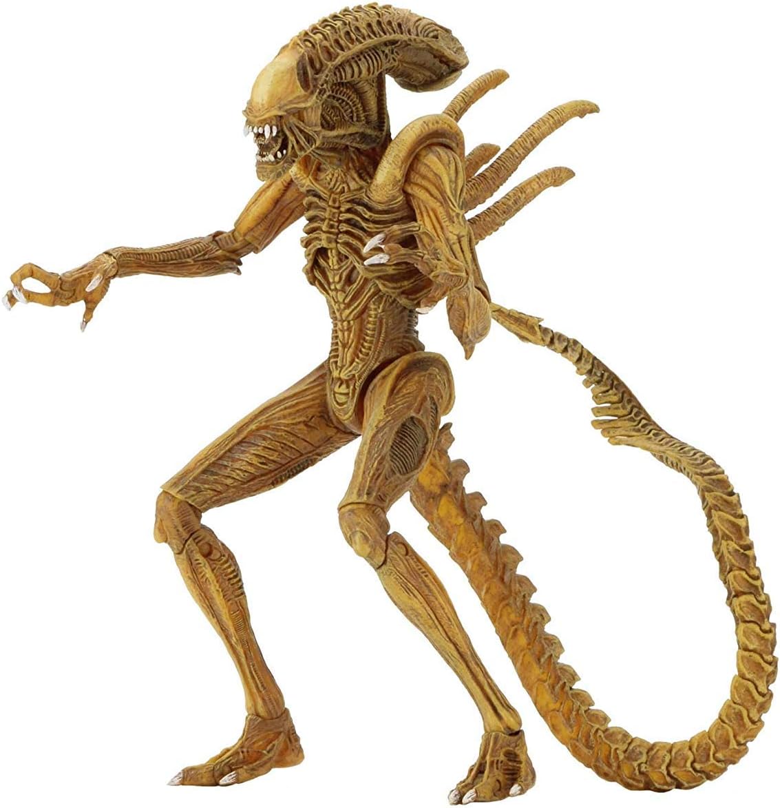 neca aliens xenomorph warrior