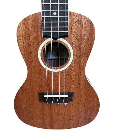 Amazon.com: Lanikai LU Series Concert Ukulele Essentials Bundle