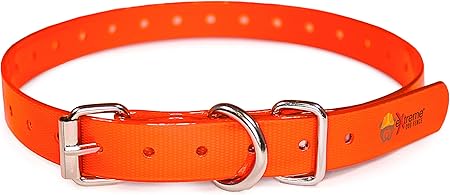 petsafe collar strap