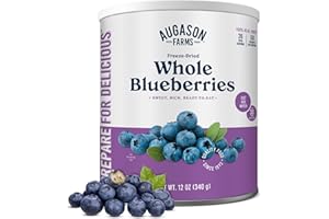 Augason Farms Dried Whole Blueberries Can – Dried Fruit for Baking & Emergency Food Supply – Dehydrated Camping Food with Long Shelf Life for Everyday Meal – 26 Servings
