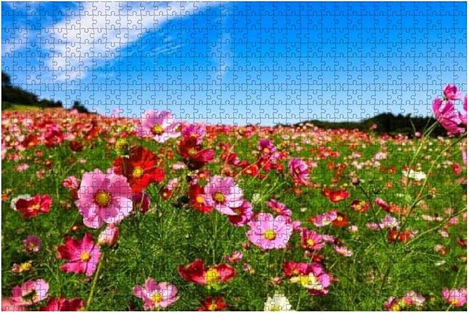 Fqzmekhfjb7xvm Fqzmekhfjb7xvm