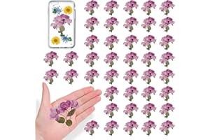 ALJ 42PCS Natural Real Dried Begonia Flowers with Stems for Resin, Nature Pink Purple Pressed Dry Begonia Flower for Art DIY Crafts Jewelry Card Scrapbooking Making Wedding Home Decors