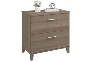 BUSH HOME Bush Furniture 2 Drawer Lateral File Cabinet, Letter and Legal-Size Document Storage for Home or Professional Office, Somerset Collection, Ash Gray