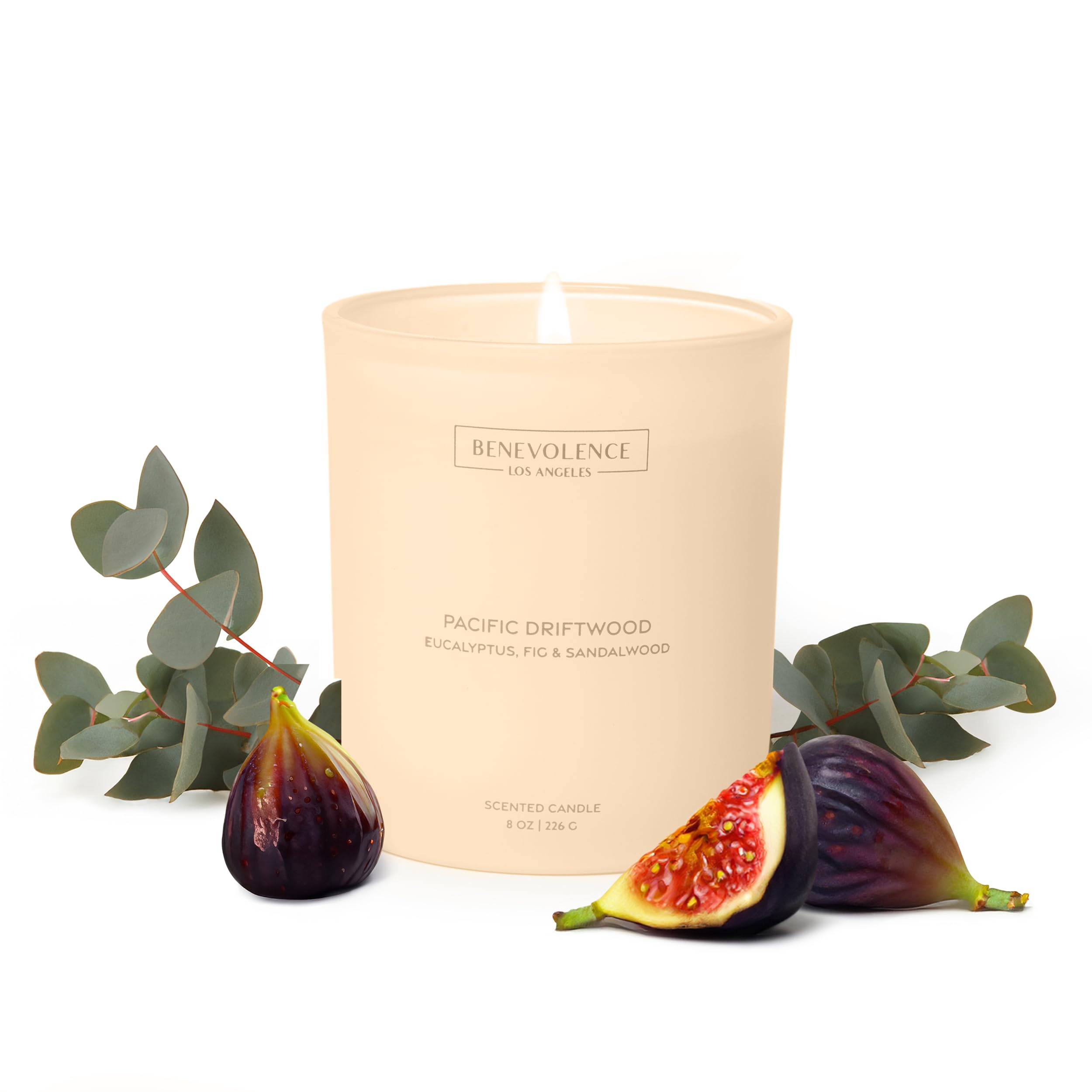 Photo 1 of Eucalyptus, Fig & Sandalwood – Benevolence LA Scented Candle | 8oz, 45-Hour Burn | Natural Soy Wax, Cotton Wick | Fresh & Invigorating Home Fragrance | Malibu Sands Collection – Gift for Women & Men