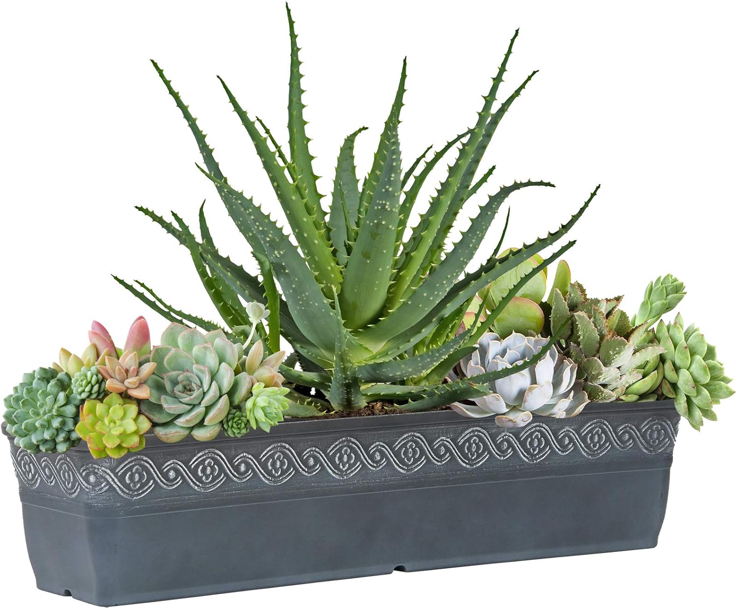 Classic Home and Garden 9418D-515 Corinthian Collection Planter, 18" Trough, Storm : Garden & Outdoor