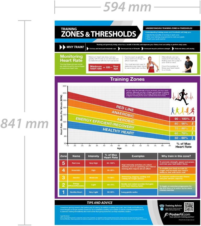Training Zones & Thresholds, mehrfarbig - Image 3