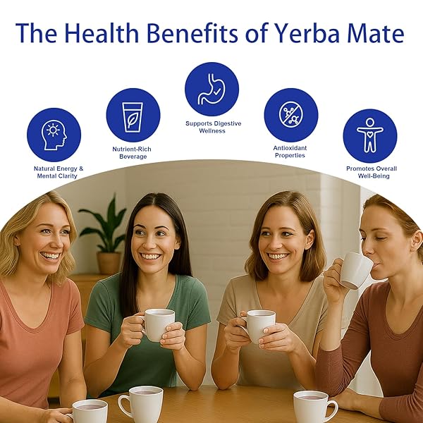 YERBA MATE INSTANT TEA POWDER, BLUEBERRY GRAPE FLAVOR, UPGRADE TO 360G 3-IN-1 NATURAL ENERGY SUPER DRINK WITH LOW SUGAR, PREBIOTICS & PROBIOTICS, SUPPORTS MENTAL CLARITY, 30 SERVINGS