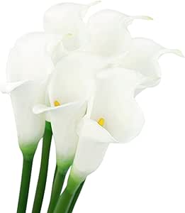 FiveSeasonStuff 6 Tallos Largos de Toque Real Artificial Blanca Lirio