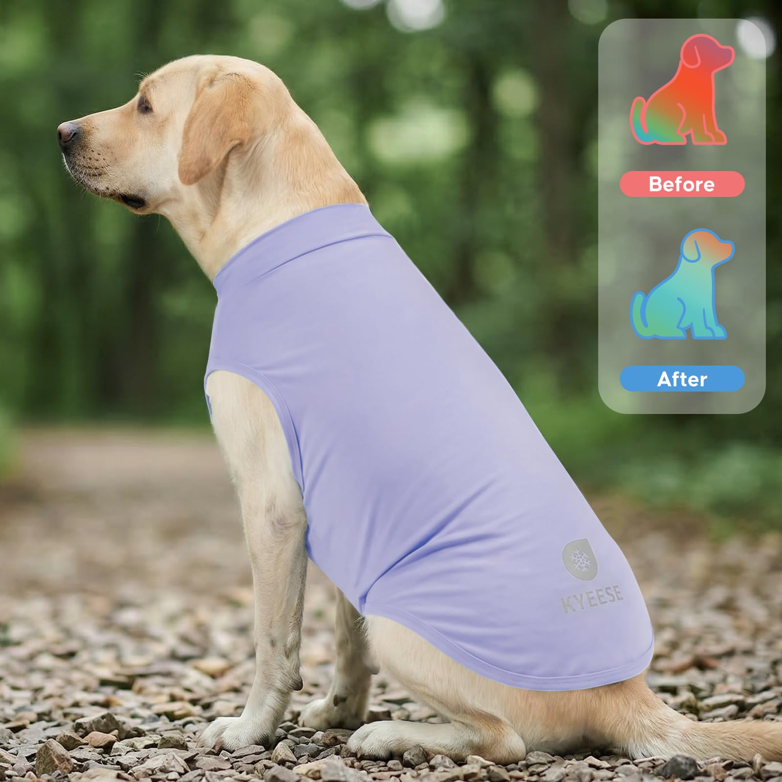 Condition photo showing New/Like New for kyeese 2pack dog cooling shirt with upf 50+ uv protection, purple, 2xl
