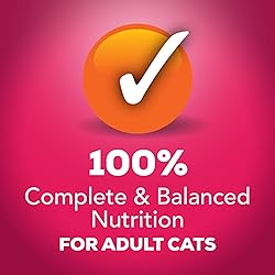 Purina Friskies Wet Cat Food, Prime Filets With