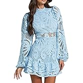 dsumvns Women's Hollow Out Floral Lace Dress Fashion Embroidered Long Lantern Sleeve Mini Dress Summer Mock Neck Slim Dresses