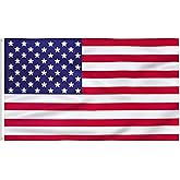 FLAGBURG American Flag 5x8 Ft US Flag, Long Lasting USA Flags with Embroidered Stars, Sewn Stripes and Brass Grommets. Vibrant Color, UV Fade Resistant, Heavy Duty Nylon for Outdoor Indoor Use
