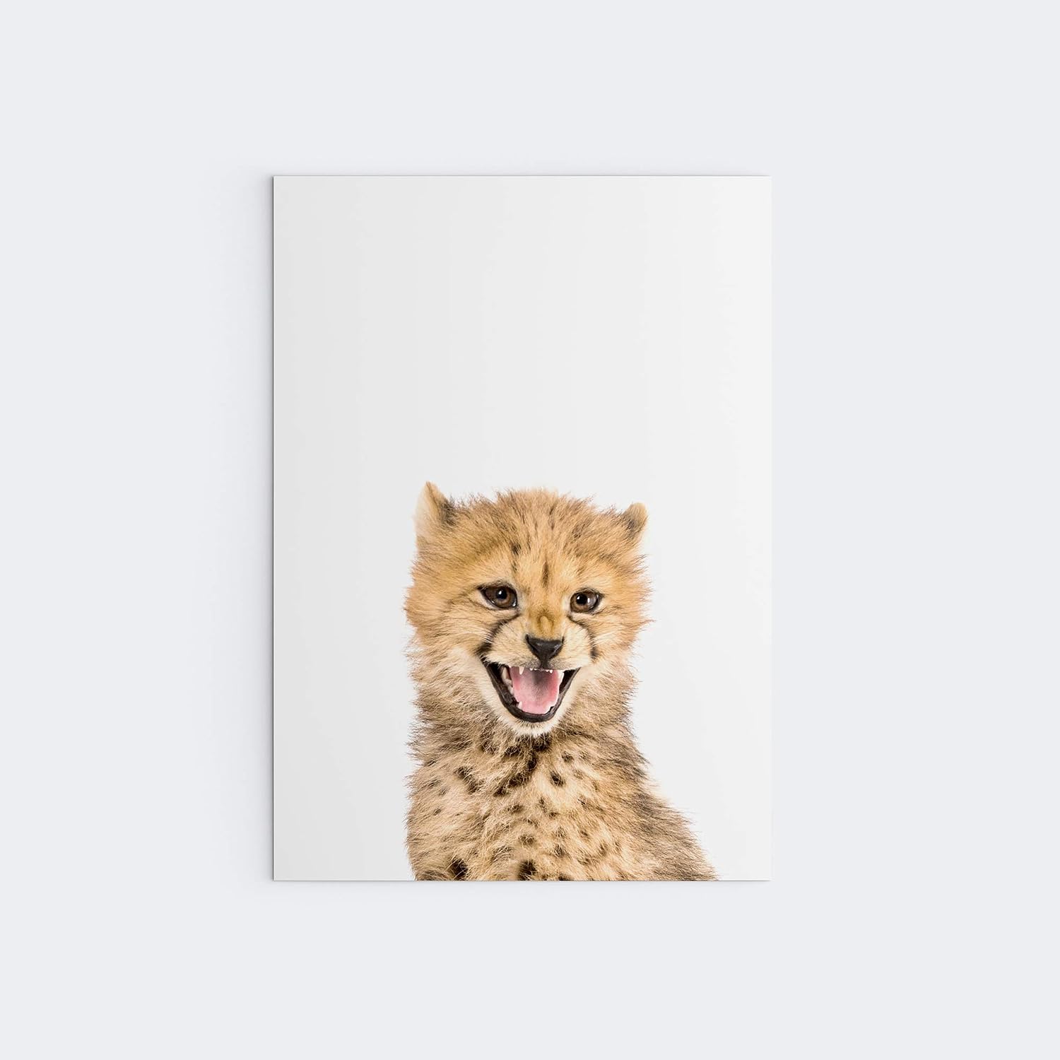 Jungle Safari Baby Animal Nursery Bedroom Wall Art Picture Prints, Set of 6, Elephant, Lion, Monkey, Giraffe, Cheetah - Image 4