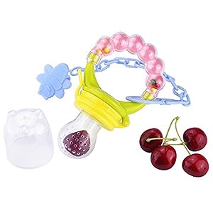 Mom's Trust Silicone Baby Mesh Food Feeder with Clips and Extra Silicone Nipple Baby Food Accessories