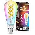DiCUNO Smart Edison Bulb ST64, Color Changing WiFi Smart Light Bulb, Vinatge ST21 Filament Bulb Work with Alexa & Google, Dimmable with App, 50 Watt Equivalent 450LM, No Hub Required, 1 Pack