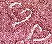 iConnectWith Glitter – Blush Rose Gold, Extra Fine Polyester Glitter; Multi-use for Crafts, Decorations, Nail Art, Makeup, Tumblers, Resin Art, and DIY Projects