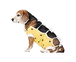 E-Collar Alternative for Cats and Dogs Designed to