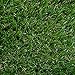 iCustomRug Ivy Realistic Thick Artificial Grass Rug, 3'x5', with Bound Edge Finishing, Pet pad