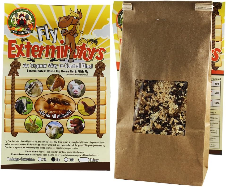 Bug Sales Fly Control - 5,000 Fly Exterminators (Guaranteed Live Delivery!)