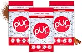 PUR Gum Sugar Free Cinnamon Chewing Gum 55 Pieces Pack of 3 Vegan Xylitol