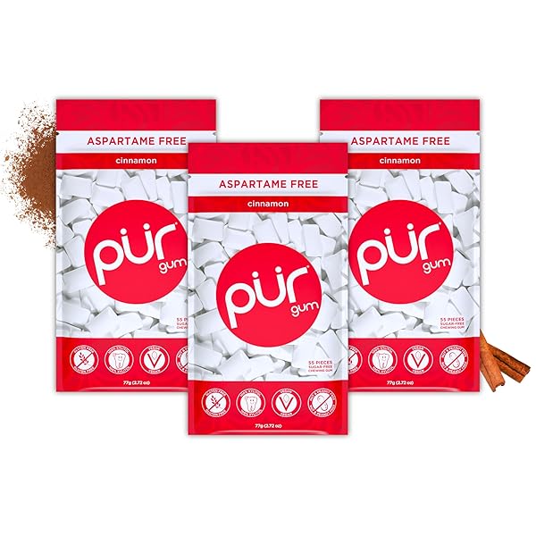 PUR GUM | ASPARTAME FREE CHEWING GUM | 100% XYLITOL | NATURAL CINNAMON FLAVORED GUM, 55 PIECES (PACK OF 3)