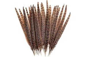 5 Pcs Natural Pheasant Feathers Long Large Feathers for Crafting Bird Feathers Decor Long Feathers for Vase Wedding Centerpie