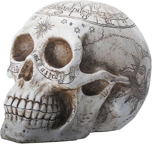resin skull with astrology engravings