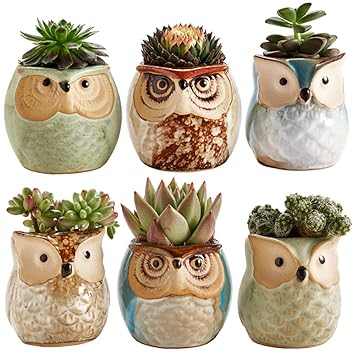 Sun E 25 Inch Owl Pot Ceramic Flowing Glaze Base Serial Set Succulent Plant Pot Cactus Plant Pot Flower Pot Container Planter Bonsai Pots With A Hole - 
