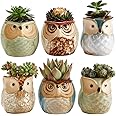 SUN-E SE Owl Pot Ceramic Flowing Glaze Base Serial Set Succulent Plant Pot Cactus Plant Pot Flower Pot Container Planter with