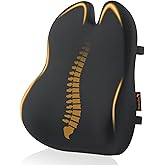 ProtoArc Lumbar Support Pillow for Office Chair, Memory Foam Back Support Pillow for Lower Back, Lumbar Cushion Desk Chair Back Cushion, Ergonomic Back Rest for Chair, Car, Home - Black