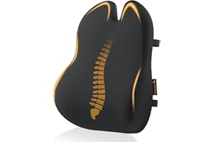 ProtoArc Lumbar Support Pillow for Office Chair, Memory Foam Back Support Pillow for Lower Back, Lumbar Cushion Desk Chair Back Cushion, Ergonomic Back Rest for Chair, Car, Home - Black