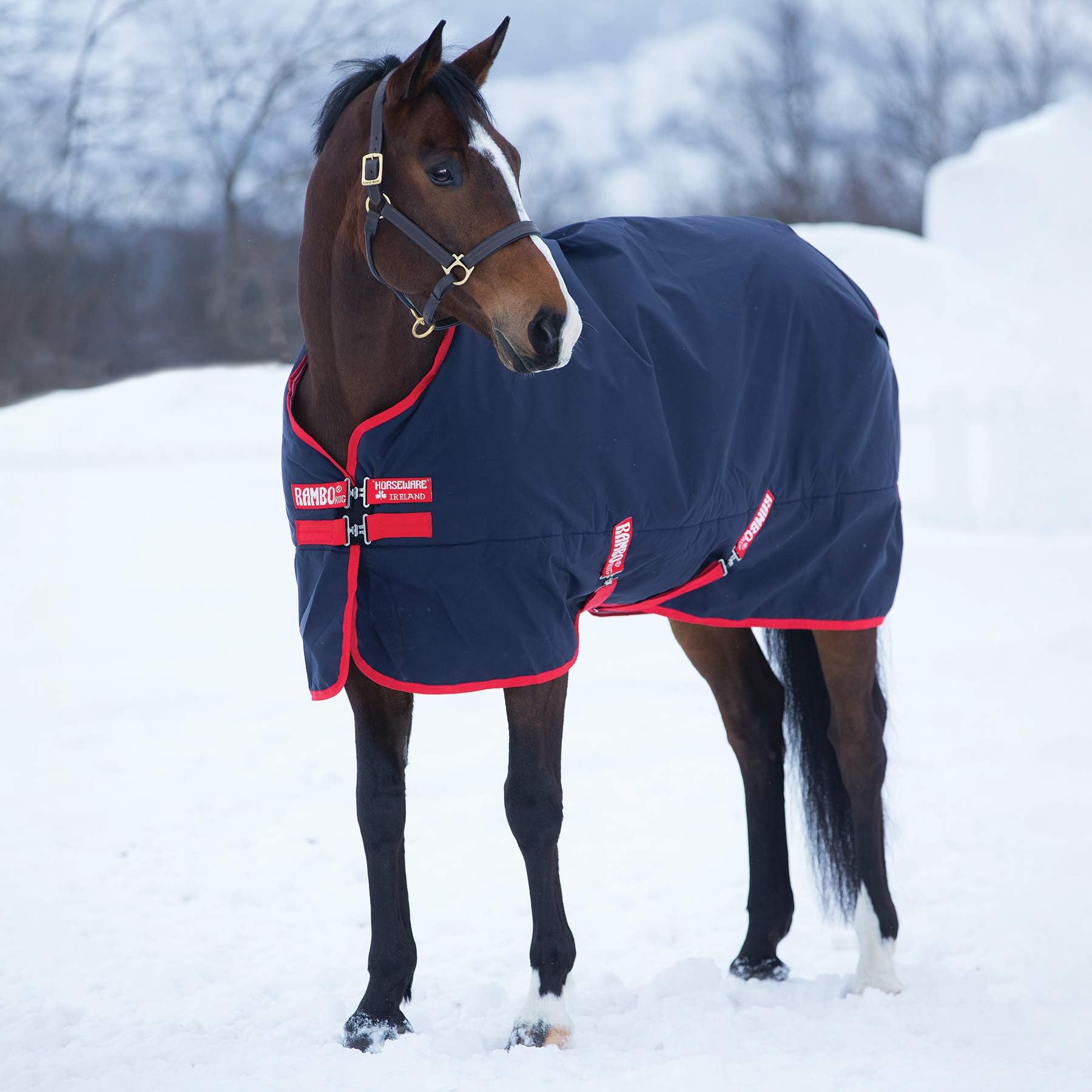 Rambo Original Turnout - Medium Weight - Navy,72