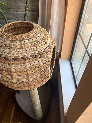 sauder natural sphere cat tree