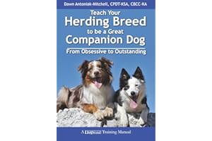 Teach Your Herding Breed to Be a Great Companion Dog: From Obsessive to Outstanding