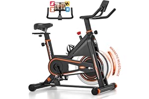 Exercise Bike, DMASUN Classic Brake Pad Stationary Bike for Home with 330 LBS Capacity, Indoor Bike with Comfortable Seat Cushion, Digital Display with Tablet Holder