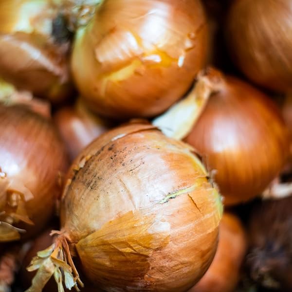 FRONTIER ORGANIC CHOPPED ONION, 1 POUND, DRIED & CHOPPED SWEET ORGANIC WHITE ONION, KOSHER, SUSTAINABLY GROWN