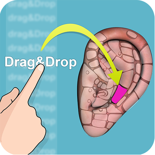 Drag & Drop Reflexology (ear chart)