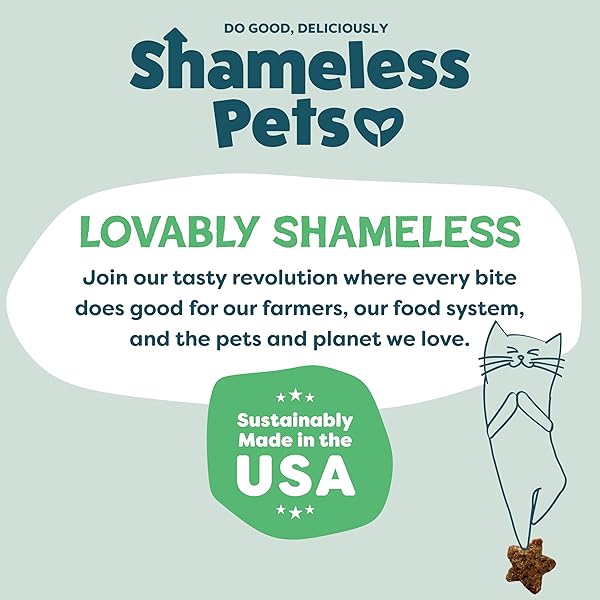 SHAMELESS PETS CRUNCHY CAT TREATS – CATNIP TREATS FOR CATS WITH DIGESTIVE SUPPORT, NATURAL INGREDIENTS KITTEN TREATS WITH REAL CHICKEN, HEALTHY FLAVORED FELINE SNACKS – CATNIP N CHILL, 3-PK