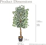 Christow 5ft Artificial Ficus Tree Variegated Leaves Natural Wood Trunk view 7