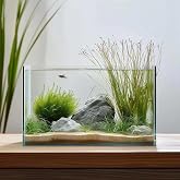 Vimvins 10 Gallon Glass Fish Tank, Easy to Maintain Small Aquarium for Betta/Goldfish/Snails/Shrimp and Aquatic Planting.