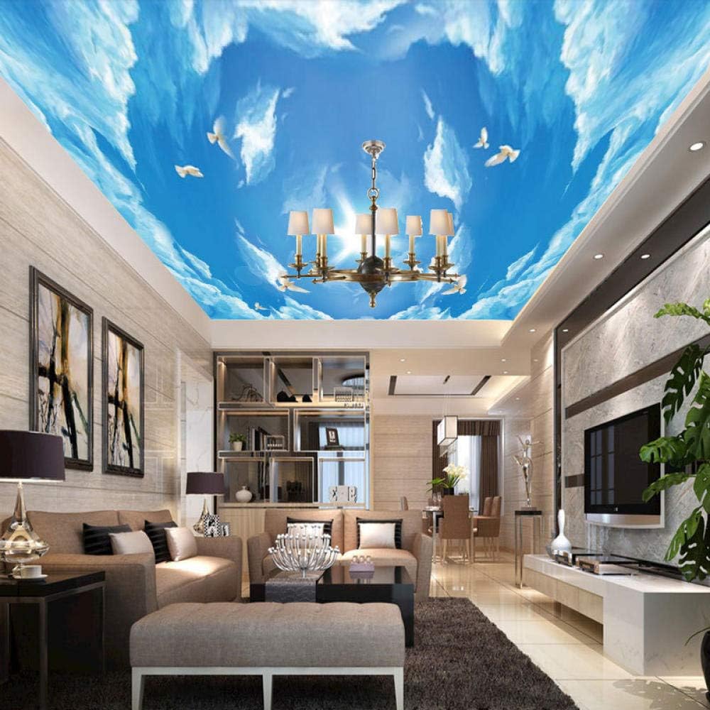 Techo atmosférico simple y claro cielo azul nubes blancas cielo paloma