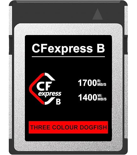 Lexar 128GB Professional CFexpress Type B Silver Series Memory
