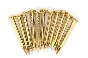Kodrily Gold Small Nails, 100PCS Hardware Nails Assortment Kit, Round Head Brass Nail, Tiny Finishing Nails Accessories for Household Wood Picture Hanging String Art (22mm Long Thickened)