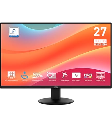Amazon.com: msi PRO MP251 E2 24.5-inch IPS 1920 x 1080 (FHD