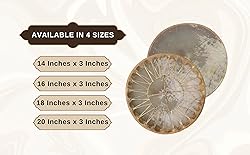 ARAW American Shamanic Native Drum Bison Natural