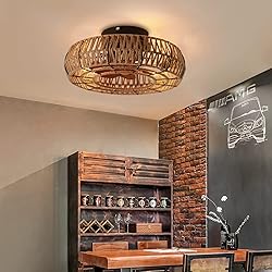 Letmarey 20" Caged Ceiling Fans with Lights and